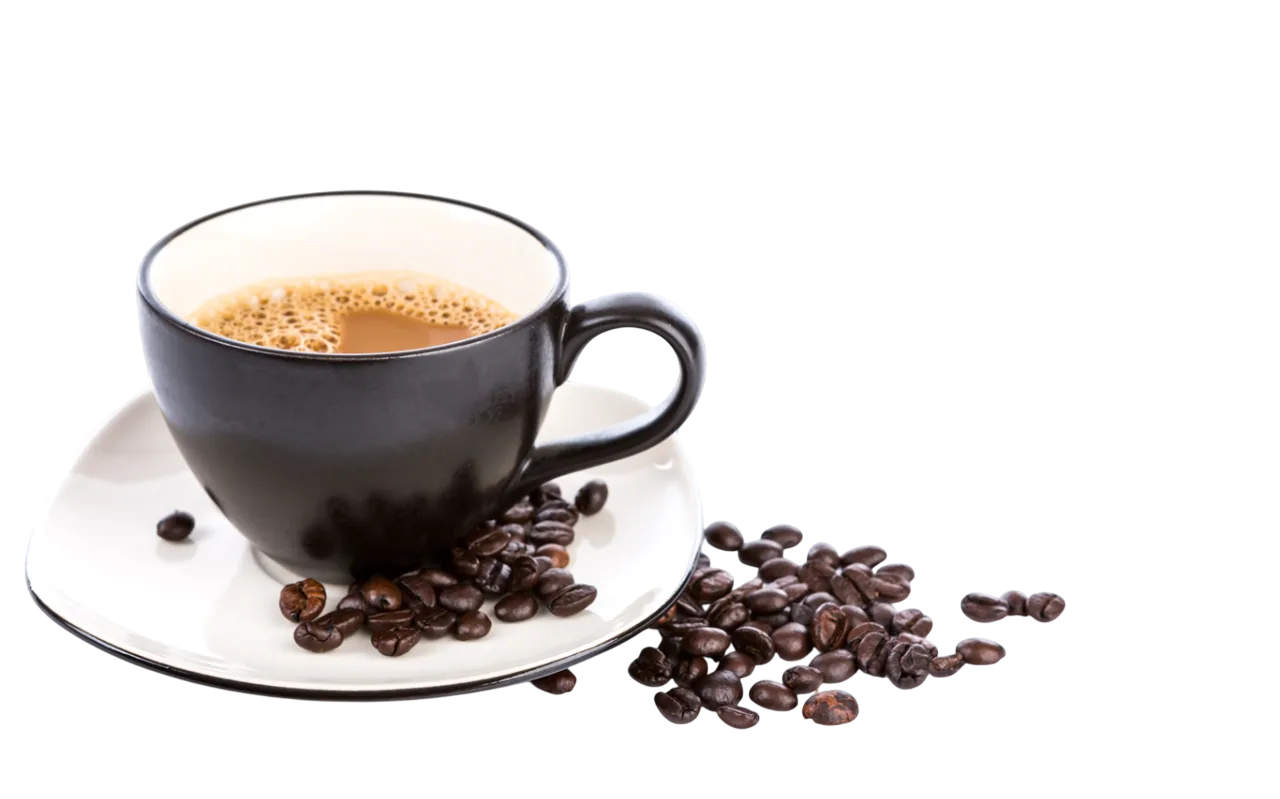 Cenovas Coffee görseli